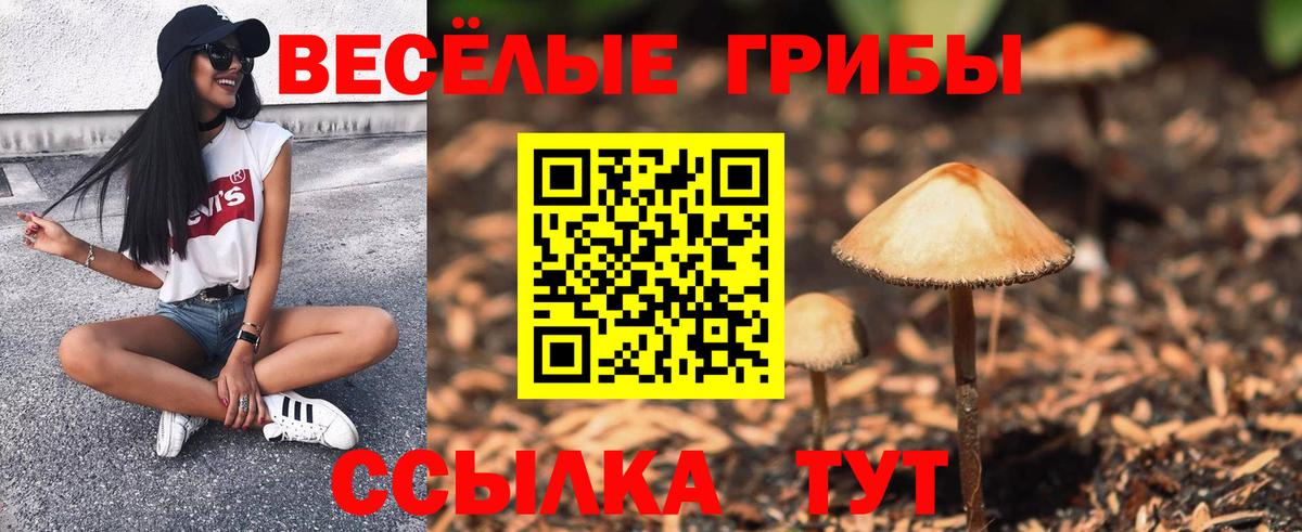 Псилоцибиновые грибы мухоморы  Псилоцибиновые грибы Psilocybe  Кудымкар  хочу   Вход с VPN 